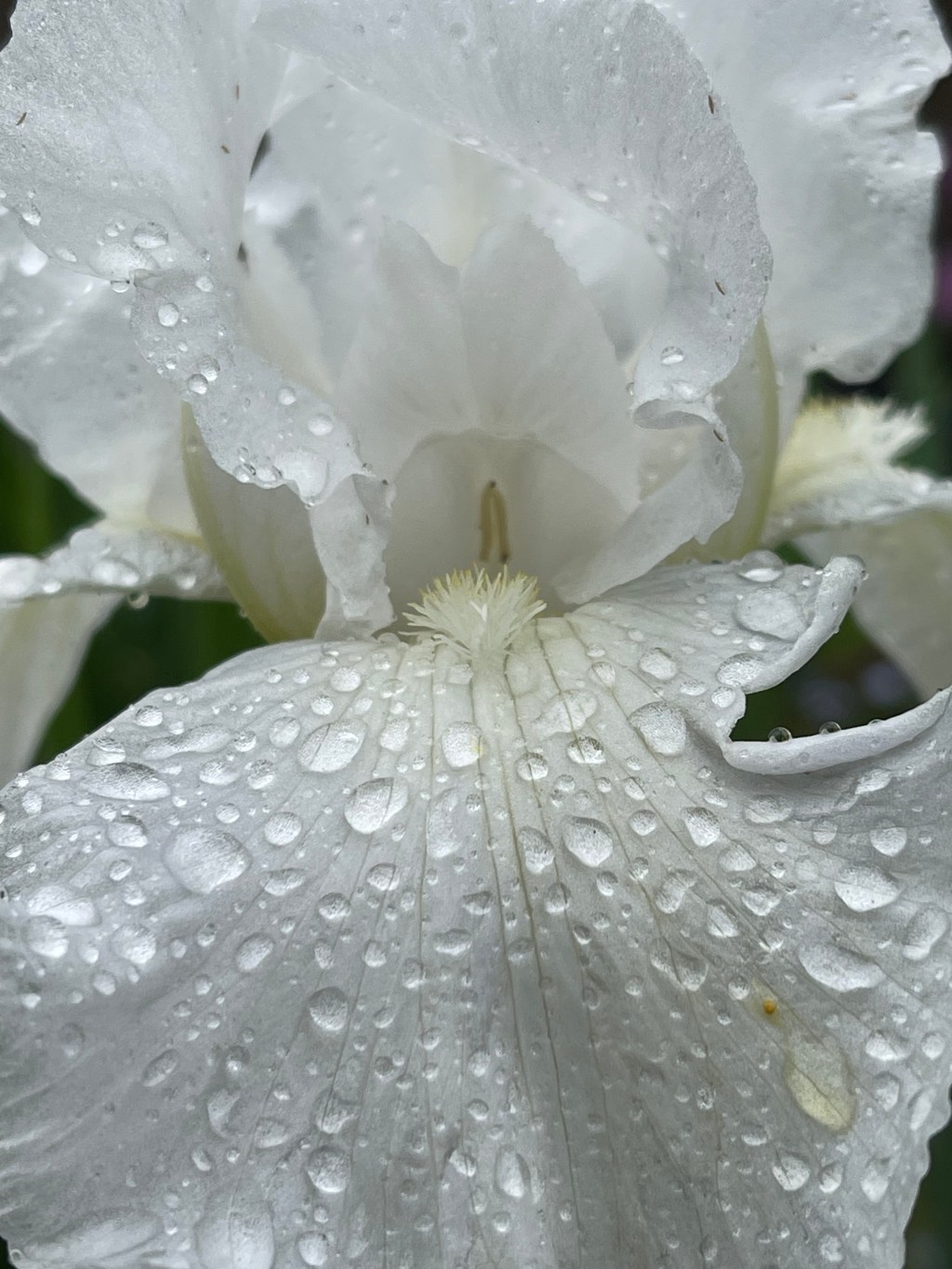 Why Coloring Is Part of My Journey